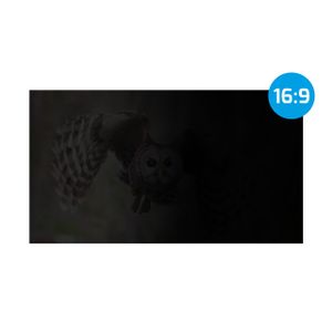 Natec NFP-1477 OWL, Privacy Filter for 23.8" Screen, 16:9, 528 x 297 mm
