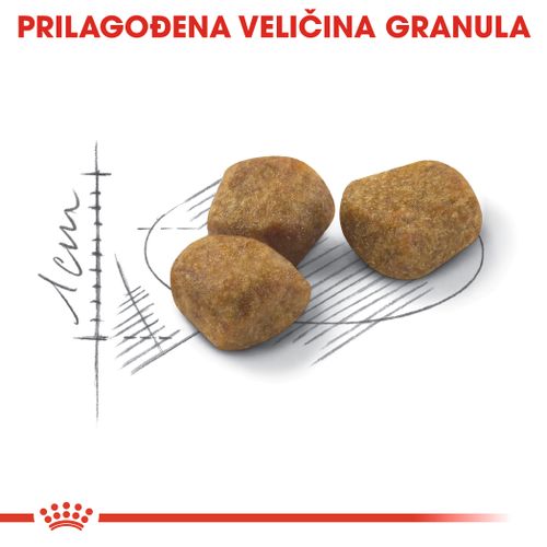 ROYAL CANIN FHN Indoor 7+, potpuna i uravnotežena hrana za odrasle mačke starije od 7 godina koje žive u kući, 400 g slika 6