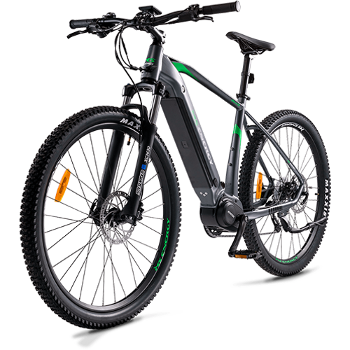 MS ENERGY eBike m100 slika 2