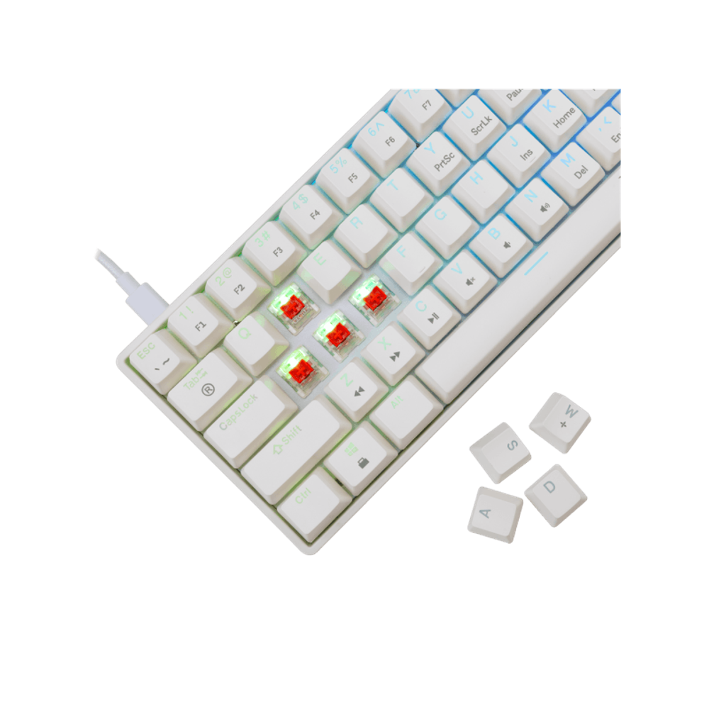 WHITE SHARK Mehanička tastatura GK-004211 SHINOBI-2 / US, crveni prekidači slika 2