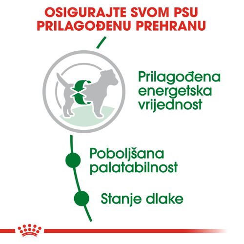 ROYAL CANIN SHN Mini Adult, potpuna hrana za pse, za odrasle pse malih pasmina (do 10 kg) starije od 10 mjeseci, 800 g slika 5