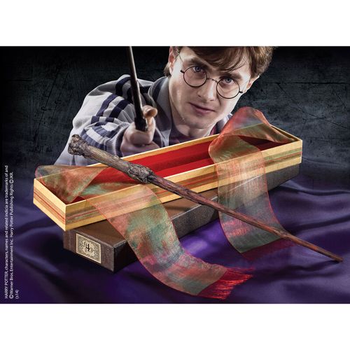 Harry Potter Harry slika 1