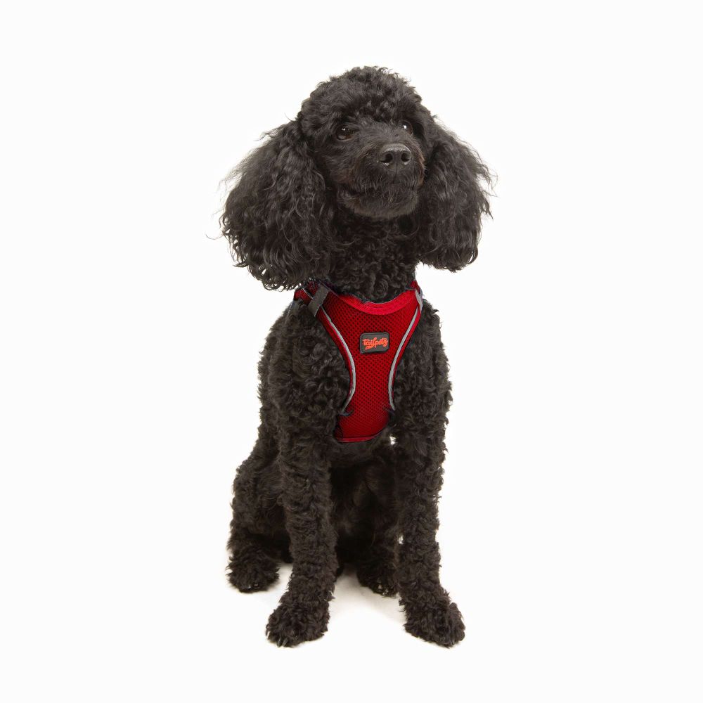 Dog harness Air-Mesh, colour: red slika 4