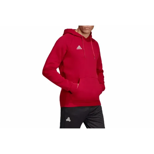 Muški Hoodie Adidas Tan Hooded Sweatshirt DZ9613 slika 10