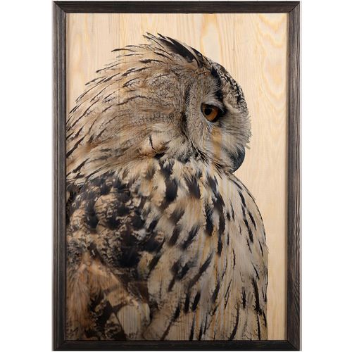 Wallity Drvena uokvirena slika, Owl XL slika 2