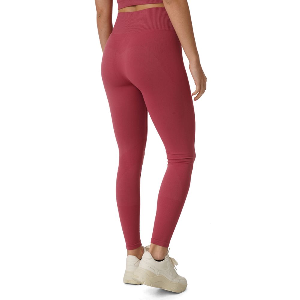 Eastbound Ženske helanke WMS Epic Seamless Tights slika 2