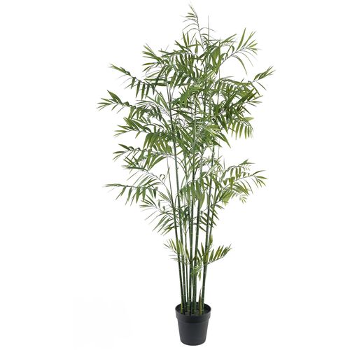 Lilium dekorativni bambus -palma 180cm 567300 slika 1