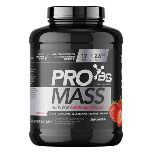  Basic Supplements Pro Mass / 2600Gr slika 1