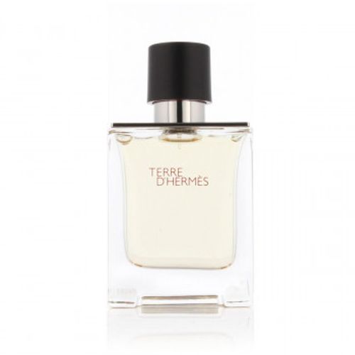 Hermès Terre D'Hermès Eau De Toilette 200 ml (man) slika 1