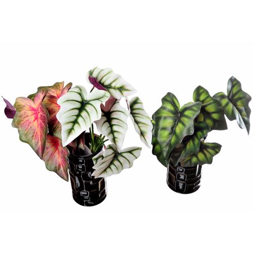 Veštačka biljka Kaladium u tri boje 31 cm DTJ140311 - set 2 kom slika 1