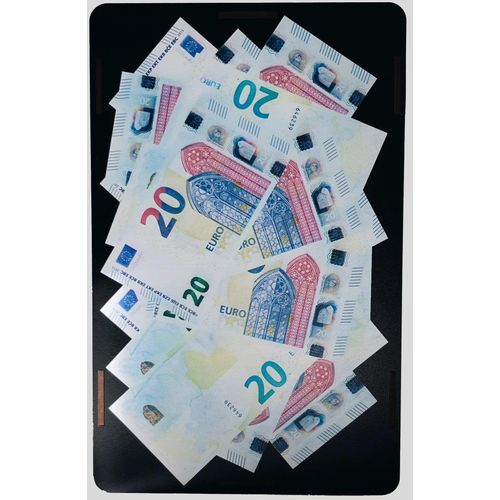 Poklon kasica prasica (kasica za novac) 20 EUR x 200 (4000 EUR) slika 5