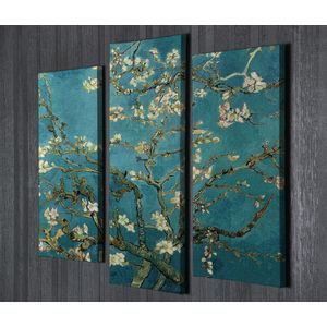 UC96 Multicolor Decorative Canvas Painting (3 Pieces)