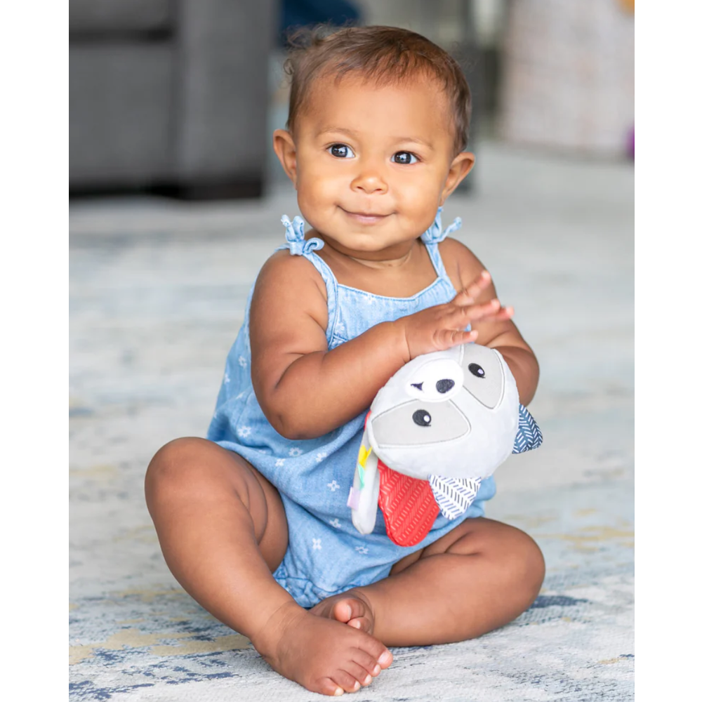 Infantino 315083 Senzorna plišana igračka Seek & Squish Sensory Pal - Rakun slika 2