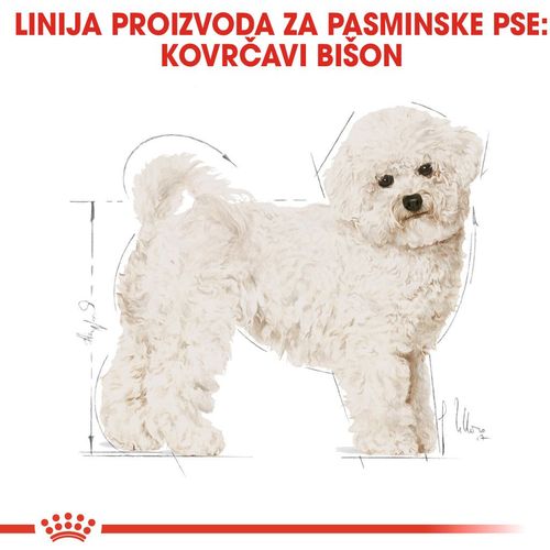 Royal Canin hrana za pse Bichon Frise 1.5kg slika 5