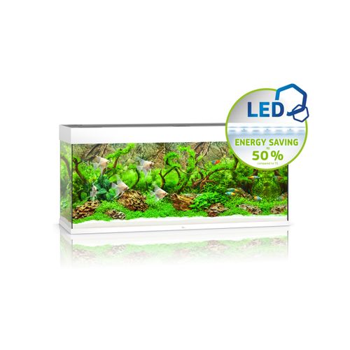 JUWEL Rio 240 LED Akvarij Bijeli, 121 x 41 x 55 cm, 240 litara slika 1