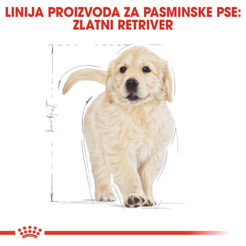 ROYAL CANIN BHN Golden Retriever Junior, potpuna hrana specijalno prilagođena potrebama štenaca golden retrivera, 12 kg slika 4