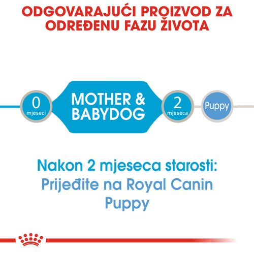 ROYAL CANIN SHN Starter Mousse, potpuna hrana za pse, namijenjena je štencima za odvikavanje od sisanja sve do kraja 2. mjeseca života te kujama tijekom zadnje trećine graviditeta i tijekom laktacije, 12x195 g slika 5