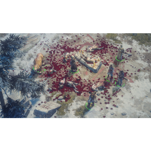Pathfinder: Wrath of the Righteous (Xbox One) slika 10