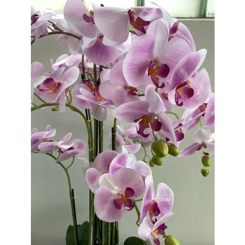 Orhideja u posudi, pink-80cm-tri grane slika 3