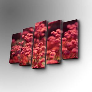 5PUC-114 Multicolor Decorative Canvas Painting (5 Pieces)