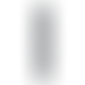 RealRock by Shots Slim Double Ended Dong 12 / 30,5 cm - crna