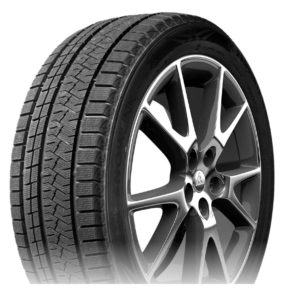 TRIANGLE Zimska guma 225/45R18 95V TRIN PL02 slika 1