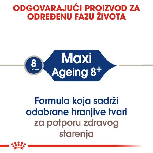 ROYAL CANIN SHN Maxi Ageing 8+, Potpuna hrana za pse starije od 8 godina velikih pasmina (od 26 do 44 kg), 15 kg slika 8