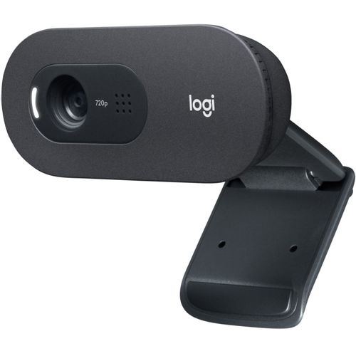 LOGITECH C505 Long Range HD web kamera slika 1