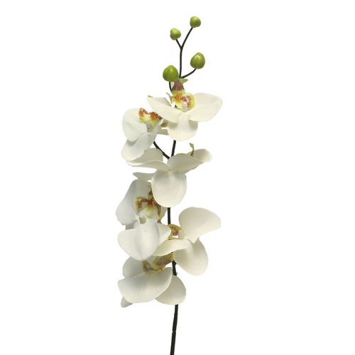 Cvet ORCHID 78cm 11518-0 - Cream - NNT slika 1