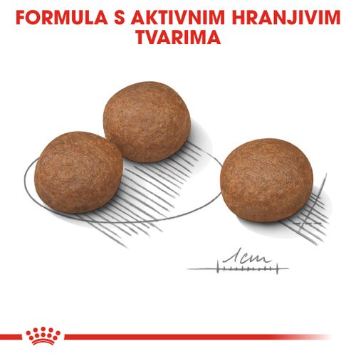 ROYAL CANIN CCN Medium Digestive, potpuna hrana za odrasle i starije pse srednje velikih pasmina (od 11 do 25 kg) - Stariji od 12 mjeseci - Psi skloni probavnim osjetljivostima, 3 kg slika 9