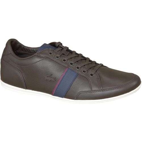 Lacoste alisos 116 cam cam0101176 slika 1