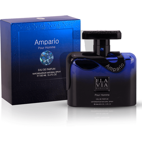 Flavia AMPARIO POUR HOMME edp 100ml slika 2