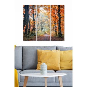 Dekorativna MDF Slika u Više Boja (Set od 3 Komada) - MDF114035173