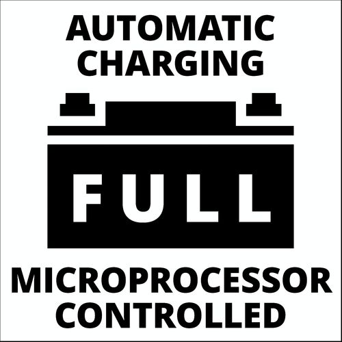 Einhell Punjač akumulatora sa mikroprocesorom CE-BC 2 M slika 3