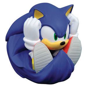 Sonic The Hedgehog kasica prasica