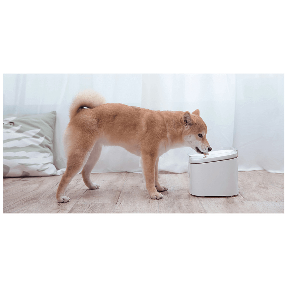 Xiaomi Fontana za kućne ljubimce - Smart Pet Fountain slika 5