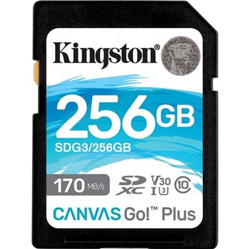 Kingston Canvas Go! Plus SD, R170MB/W90MB, 256GB slika 1