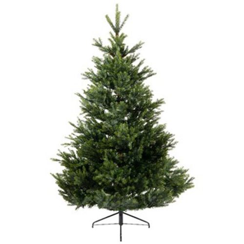 Novogodišnja jelka Arlberg fir 210cm-142cm Everlands 68.4382 slika 1