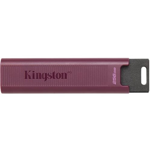 USB stick KINGSTON 1TB USB3.2 TypeA DataTraveler, DTMAXA/1TB slika 1