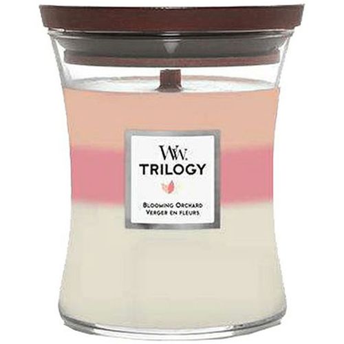 WOODWICK TRILOGY MEDIUM, svijeća mirisna Blooming Orchard  slika 1