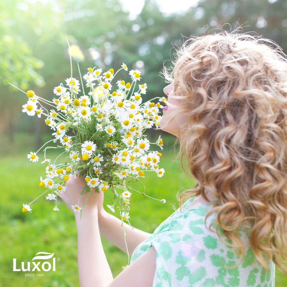 Luxol Čvrsti sapun Kamilica 75 gr slika 2