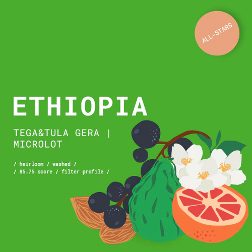 GOAT Story, Ethiopia Tega&Tula Gera Washed kava, Turkish (Ibrik), 250g slika 1