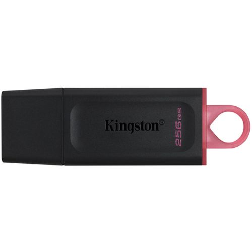Kingston usb flash DTX/256GB slika 1