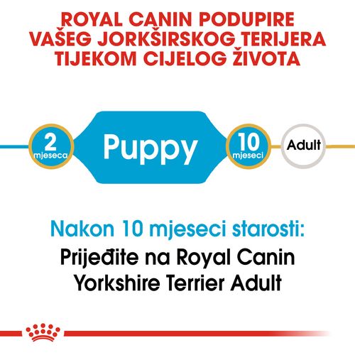 ROYAL CANIN BHN Yorkshire Terrier PUPPY, posebno za štence pasmine jorkširski terijer, do 10 mjeseci, 1,5 kg slika 8
