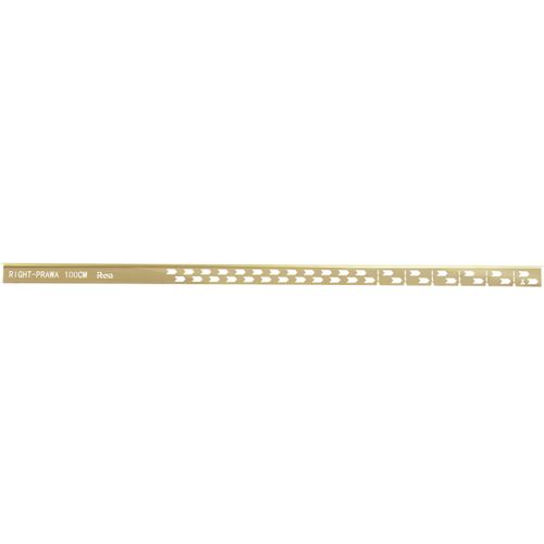 Letva za tuš kabinu 100cm Brush Gold slika 11