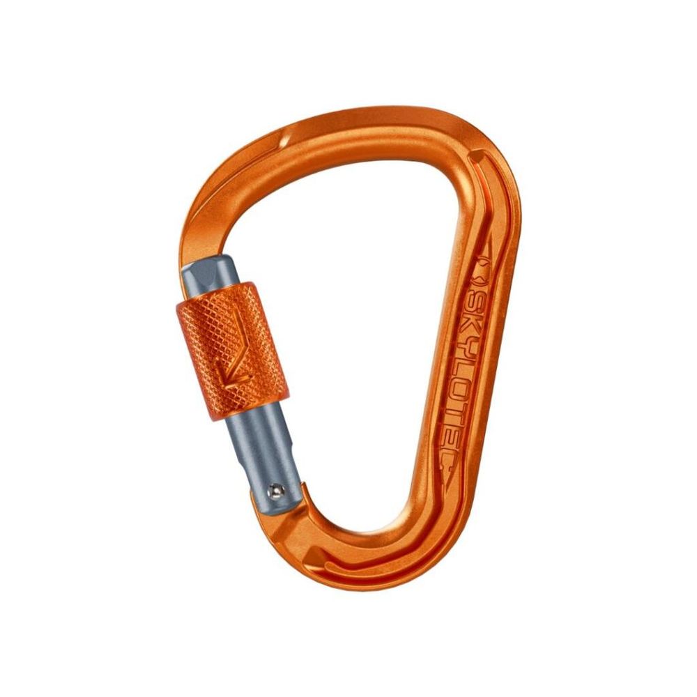 Skyotec karabiner sa sigurnosnom bravicom 22kN LEGER BG slika 1