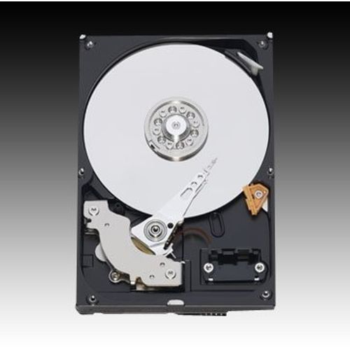 WD Blue HDD Desktop (3.5", 1TB, 64MB, SATA III-600) slika 3