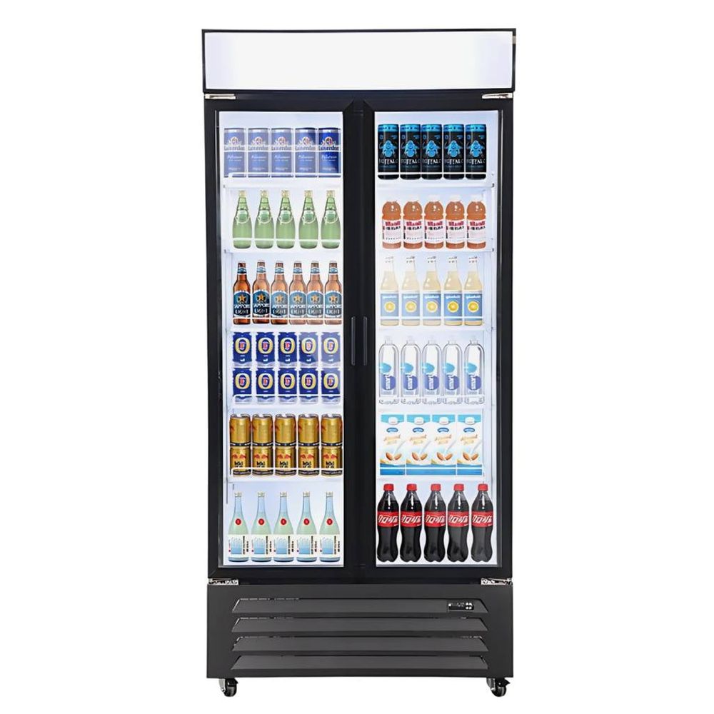 STARCREST SPS-2D590DC rashladna vitrina s dvostrukim vratima 590 L slika 1