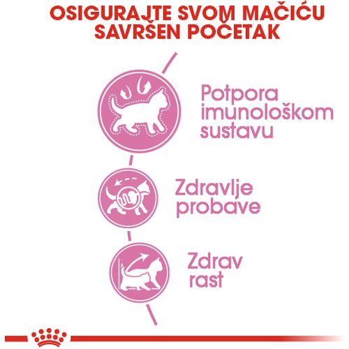 ROYAL CANIN FHN Kitten, potpuna i uravnotežena hrana za mačke, specijalno za mačiće u drugoj fazi rasta (od 4 do 12 mjeseci starosti), 10 g slika 6