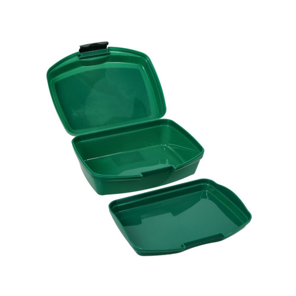 Spirit set za užinu T-Rex – kutija 550 ml + flaša 350 ml slika 4